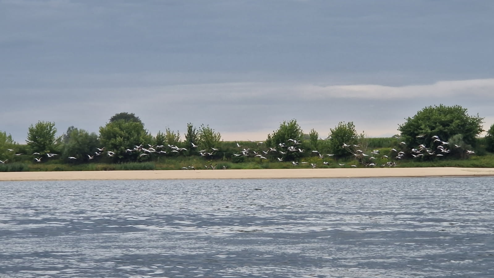 HYDROTECHNIKA, KRYZYS, MOWA WISŁY, I PTASIE SZALEŃSTWO